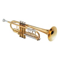 trompet Vogga ( produto usado ) 